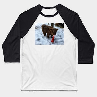 Scottish Highland Cattle Calf 1634 Baseball T-Shirt
